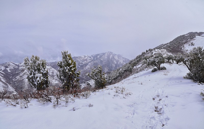 在犹他州盐湖城，通过沃萨奇前落基山脉的博纳维尔海岸线步道，小黑峰徒步步道可以看到冬天的雪景。美国。