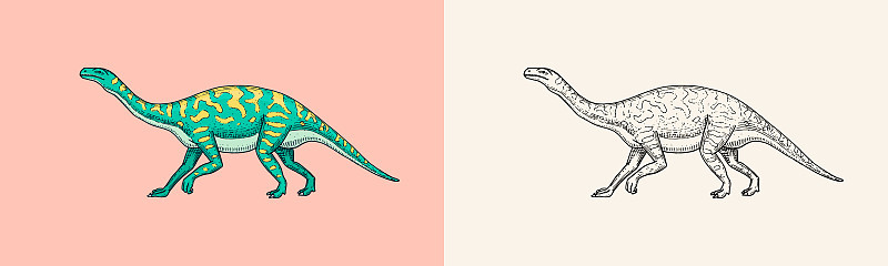 恐龙巴龙、迷惑龙、腱龙、Plateosaurus、宽蜥蜴、Massospondylus、梁龙、化石。