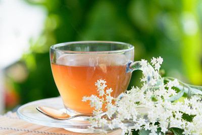 健康药接骨木花茶