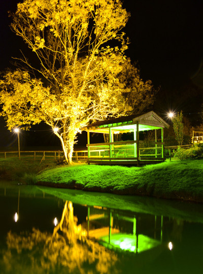树和夜间观察小屋