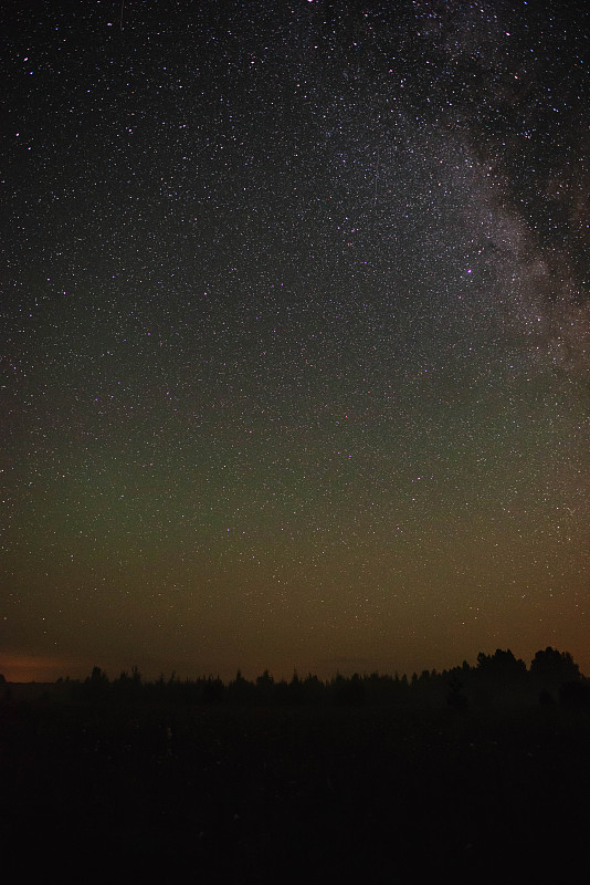 繁星漫天的森林和漫天飞舞的流星夏夜