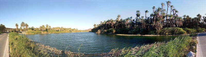 Laguna (lagoon) de San Ignacio, San Ignacio, Baja 