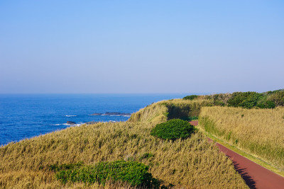 从三浦半岛南端跳入太平洋的岛之海