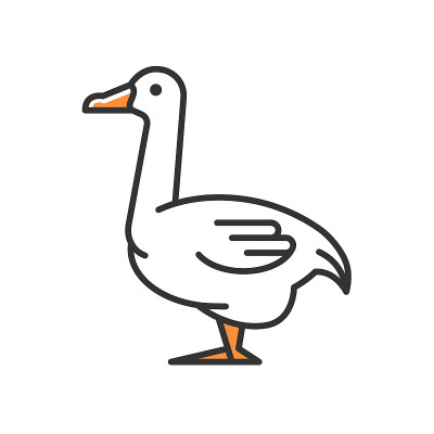 鹅RGB颜色图标