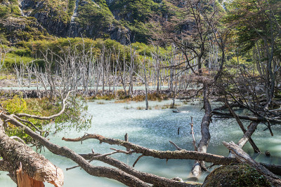 阿根廷火地岛的海狸水坝和湖泊