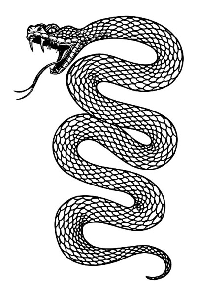 雕刻风格的毒蛇插图。设计元素的标签，徽章，标志，徽章。矢量图