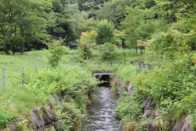 日本轻井泽的河流