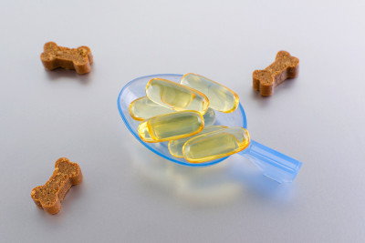 欧米茄capseln动物和宠物在勺子和灰色背景上的款待