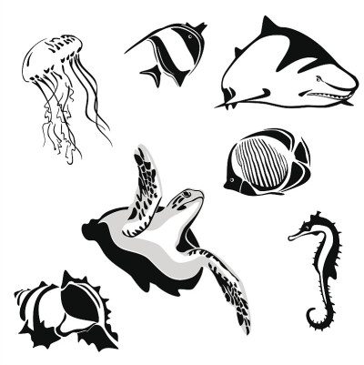 海洋动物