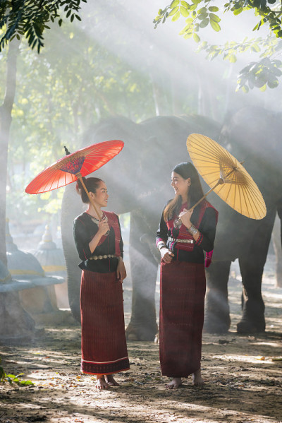 两个拿着伞的年轻女人和一头大象。丛林里有一头大象的美丽女人。泰国素林。