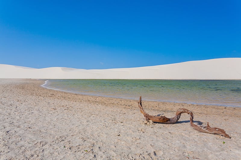 白色沙丘全景从Lencois Maranhenses国家公园，巴西。