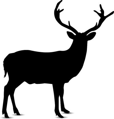 Silhouette of deer.