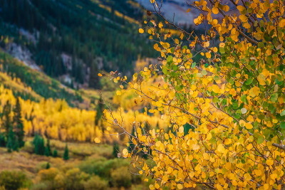 Maroon Bells Snowmass Wilderness USA