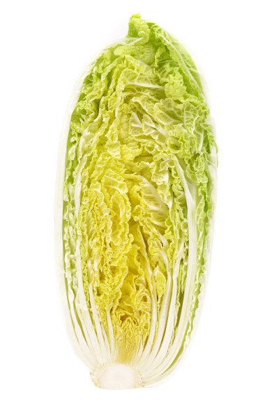 大白菜片
