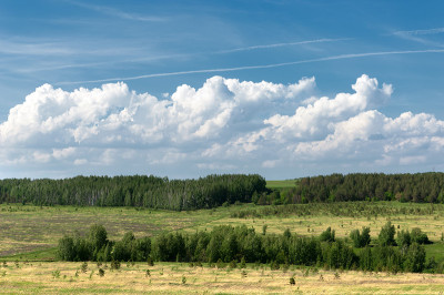夏天的风景