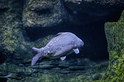 水族馆