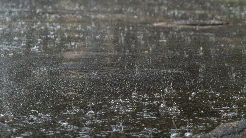 大雨。多雨的季节。大雨落在雾霾升起的道路上。