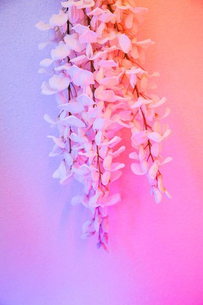 霓虹色花。