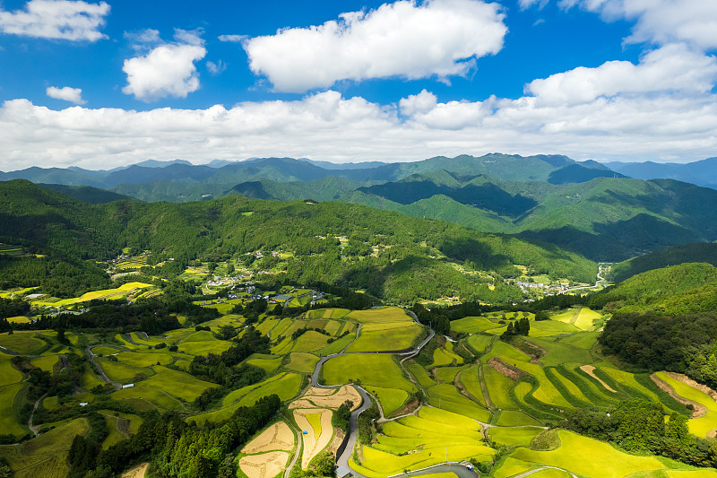 日本高知县美丽的梯田