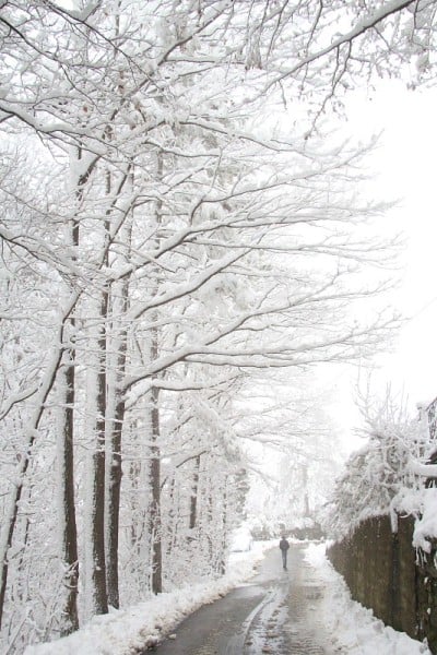 雪覆盖了村庄