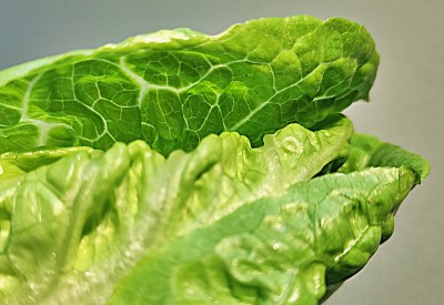 蔬菜沙拉