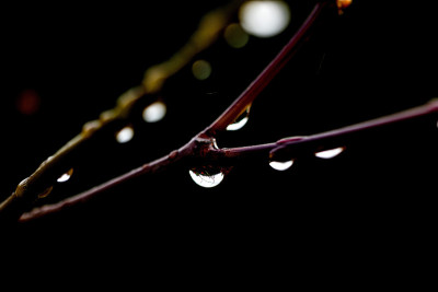 雨滴