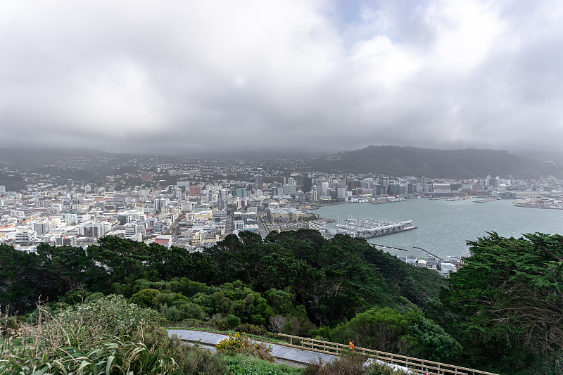 从维多利亚山俯瞰惠灵顿城