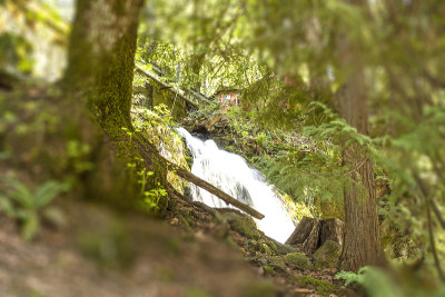 Sweetbrier Falls“地球上最好的水的家园!”