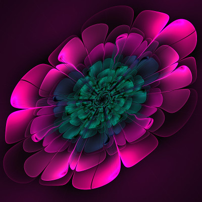 仙女花。莉莉。