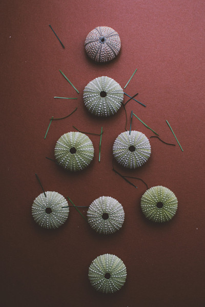 圣诞树