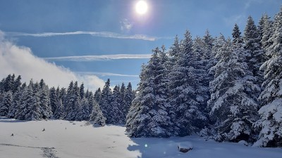 在雪地里行走