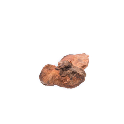 干药草，菝葜。
