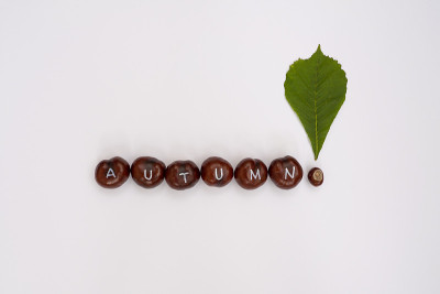 栗子配文字。