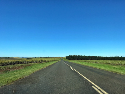 景区道路