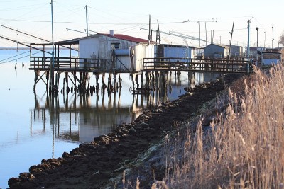 渔民们在泻湖里搭小屋