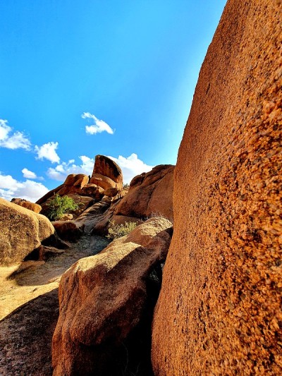 山