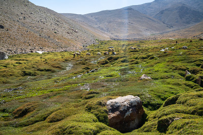 在阿富汗山区的伊什卡希姆绿色山谷徒步旅行