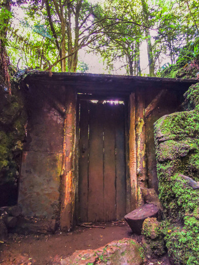 神奇的Puzzlewood