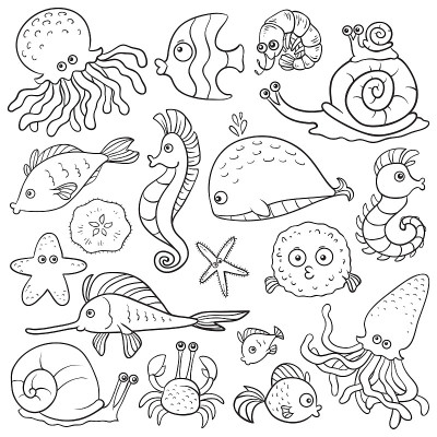 涂色书(海洋生物)