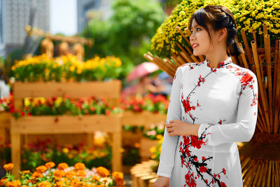 穿着民族传统服装的亚洲美女，越南