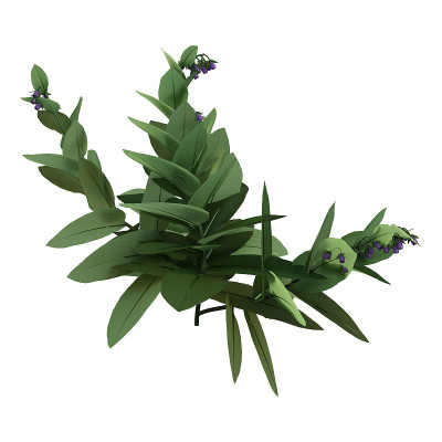 3D插图盛开的紫草植物在白色