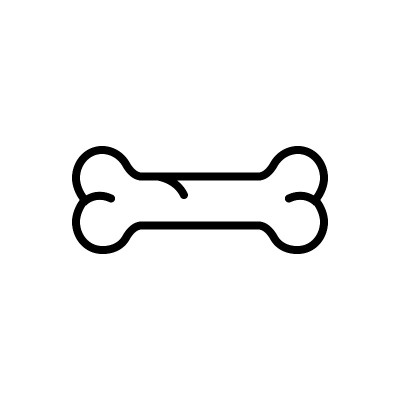 Bone osteoblast