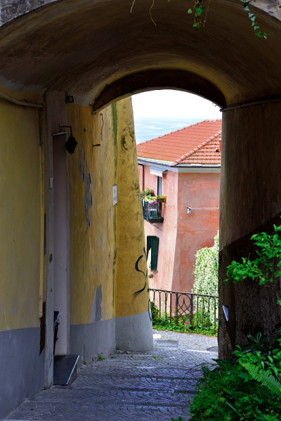 imia porto maurizio italy报道
