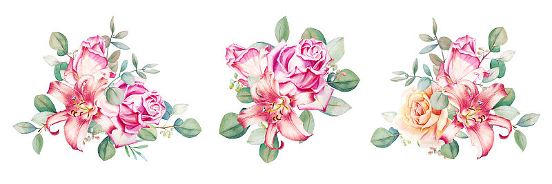 水彩花桉树，粉红色和茶玫瑰与百合花束收集。手绘插图。花团锦簇，怒放。