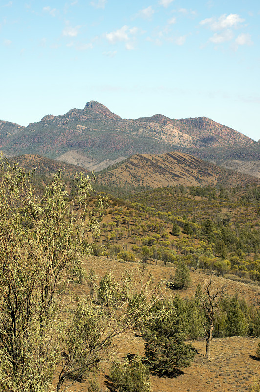 驱车前往布拉奇纳峡谷的风景，伊卡拉-弗林德斯山脉国家公园，SA，澳大利亚