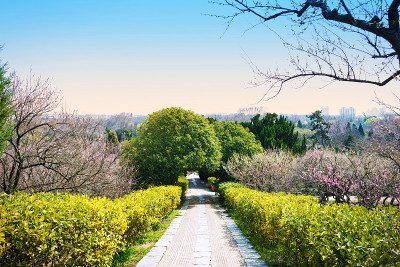 早春公园