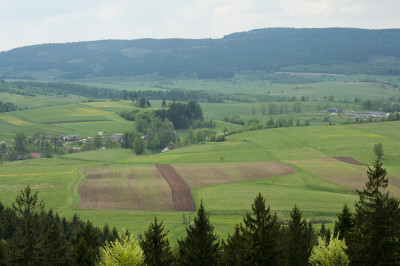 田野和山地景观