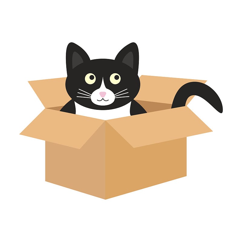 Cute black and white cat is sitting in a cardboard