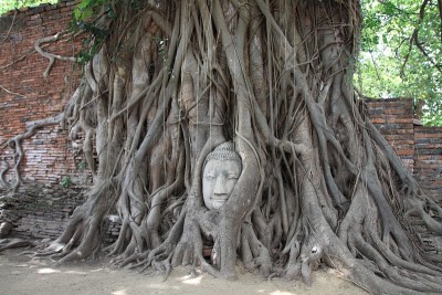 泰国大城府玛哈塔寺佛像
