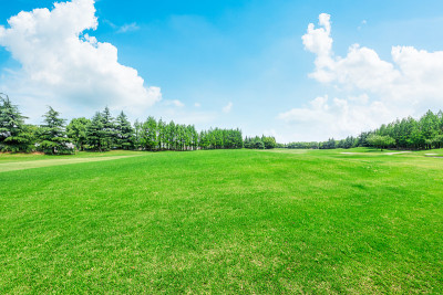 城市公园的广场草坪和森林自然景观